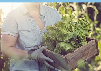 naturally-committed-sustainability-person-carrying-freshly-picked-produce