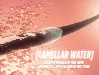 Garnier Hair Care Hair Drink Lamellar Water