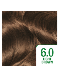 Light-Brown-6-Shade-372x488
