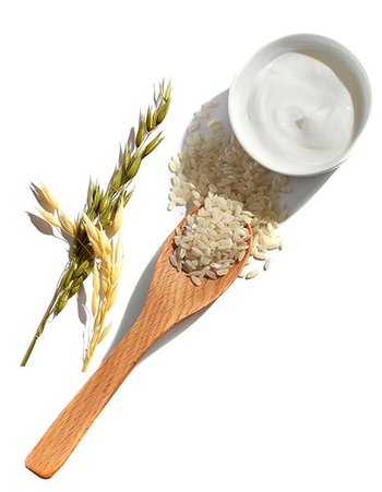 oat cream and oats and grain